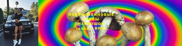 метадон Гусиноозёрск