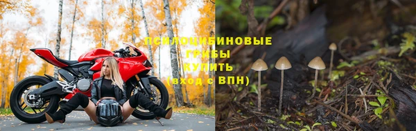 дурь Гусь-Хрустальный